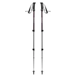 BD Black Diamond Trail Explorer 3 Trekking Poles Bastoncini Da Trekking -Trekking e campeggio 112229 5003 trailexplorer3trekpoles mulberry