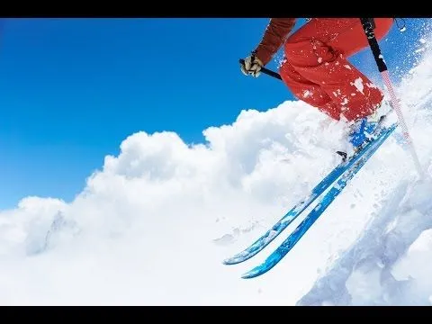 Black Crows Ova Freebird + Attacco Scialpinismo 2 Black Crows Ova Freebird + Attacco Scialpinismo - immagine 2